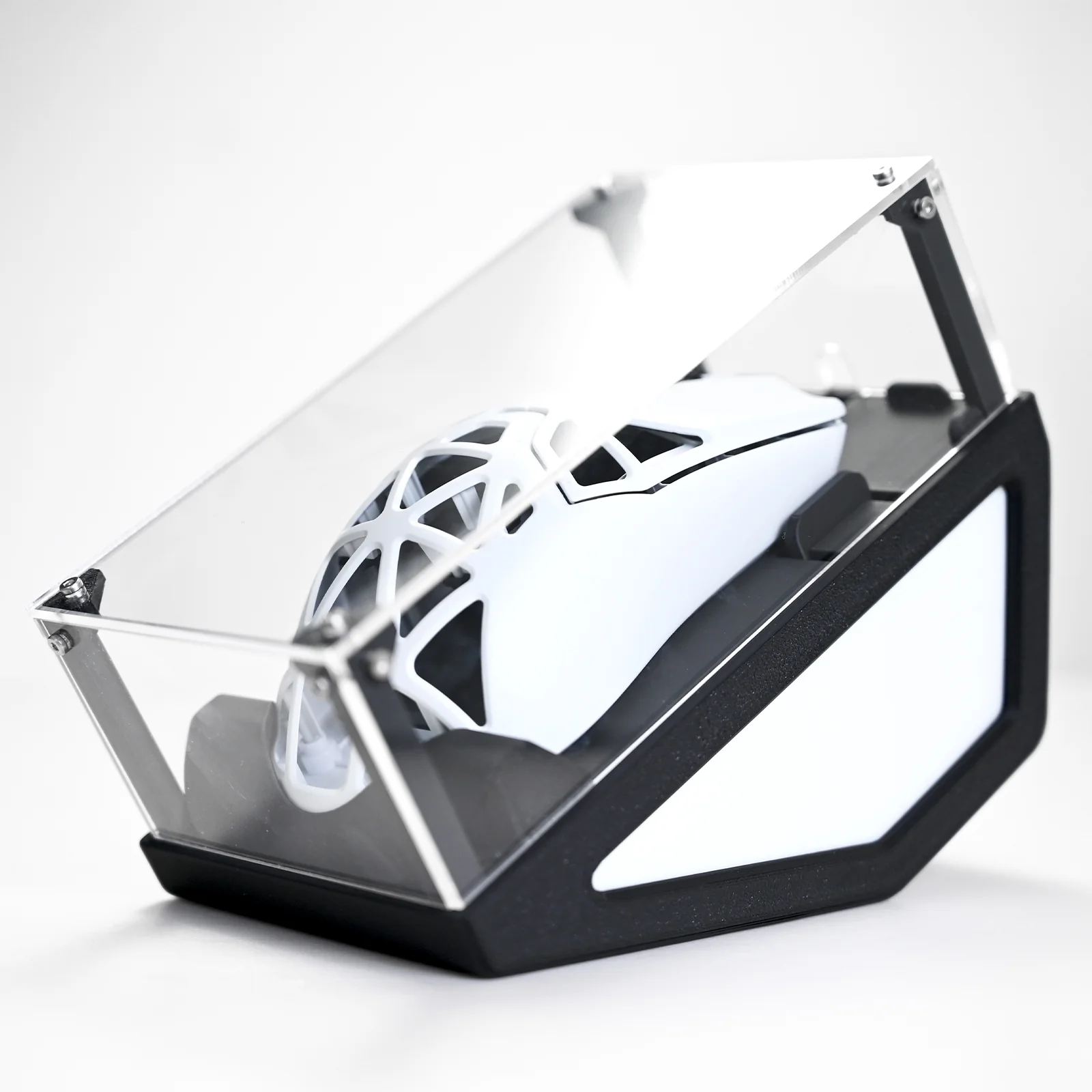 Mouse Display Case - Image 6