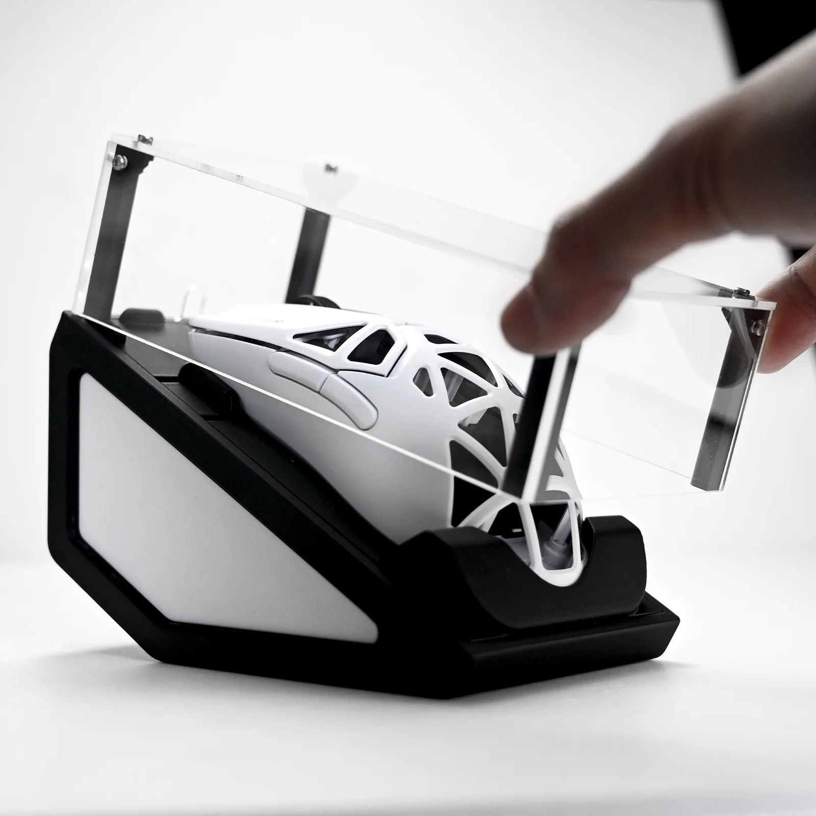 Mouse Display Case - Image 7