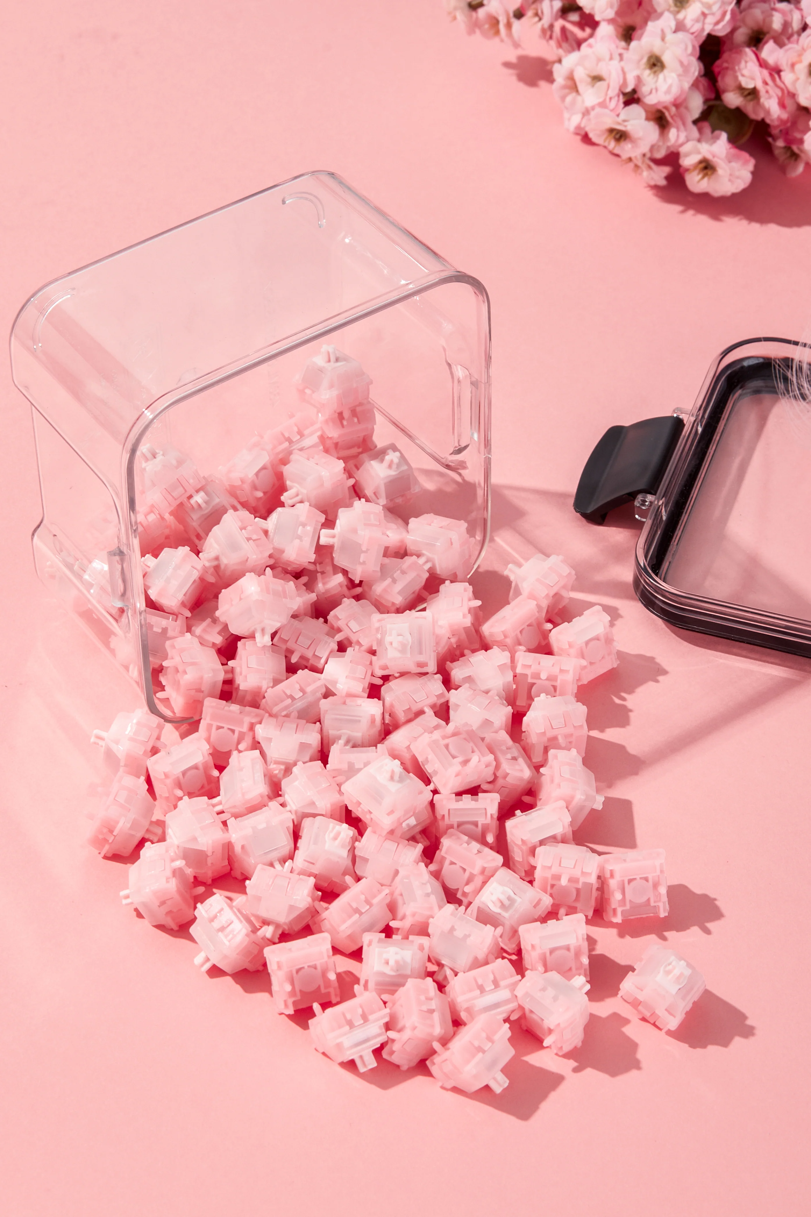 UR Studio Marshmallow HE Switches - Image 4